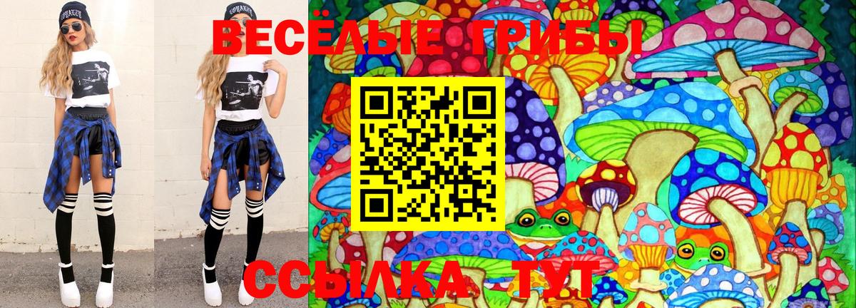Галлюциногенные грибы Cubensis Тосно